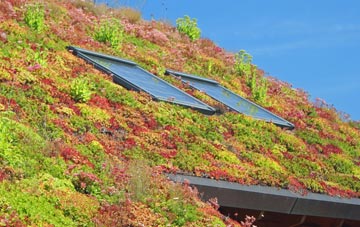 Colwyn Bay living roof systems